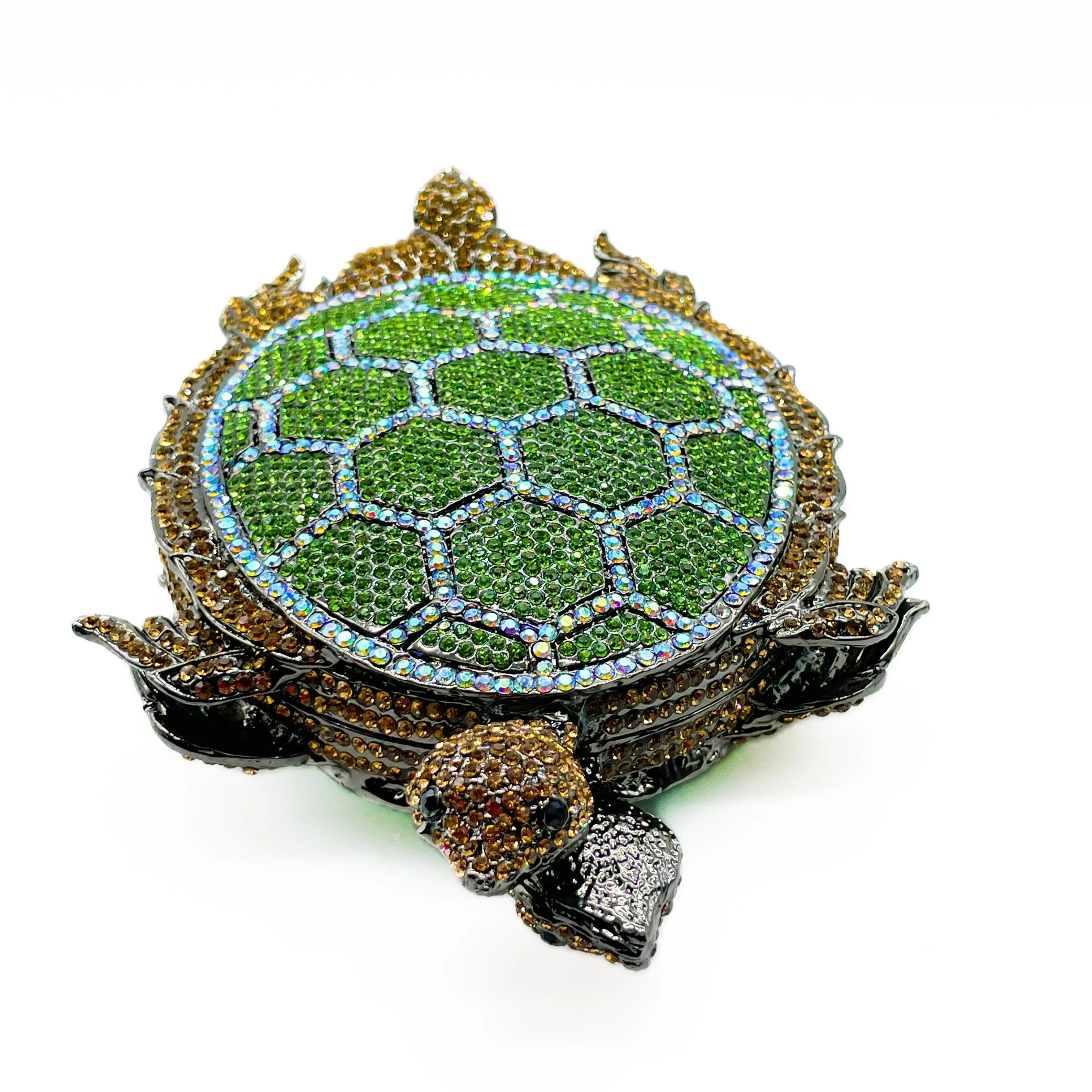 Bébé Tortue