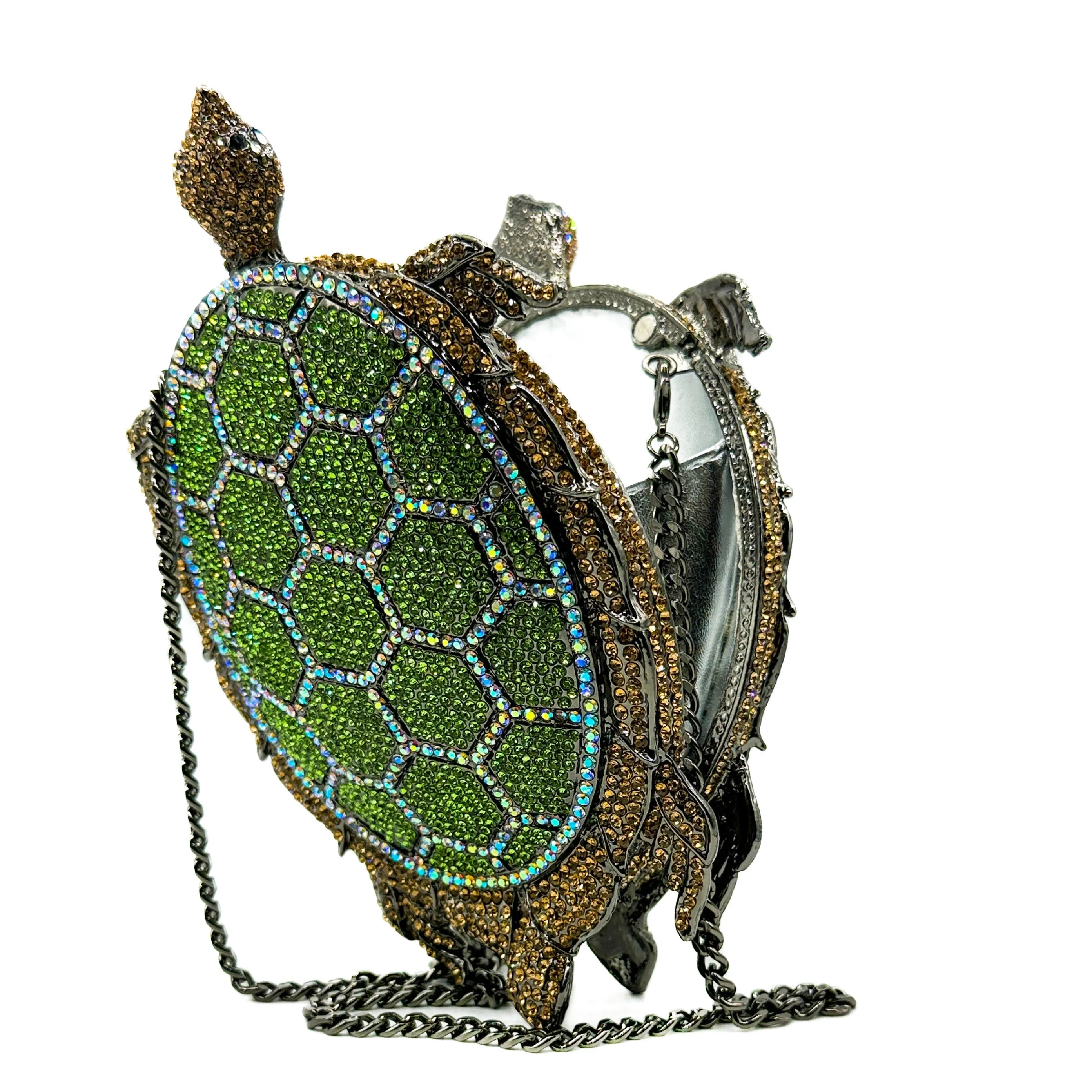 Bébé Tortue