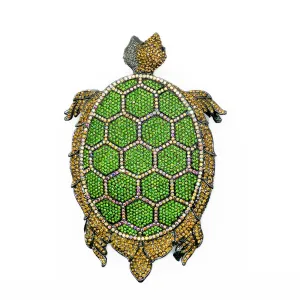 Bébé Tortue