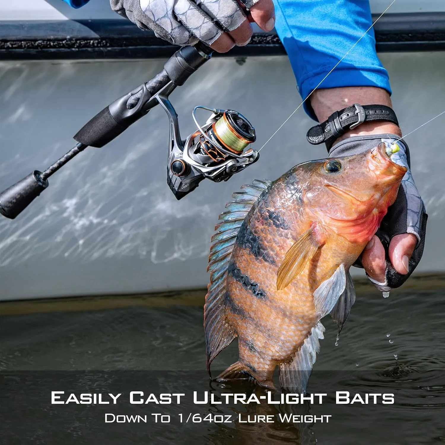 KastKing Kestrel Fishing Rod - IM8 Graphite Blanks, 8 Different Light & Ultralight Casting & Spinning Fishing Rods, 2 & 3 Piece Rods, American Tackle Guides and Custom EVA Handle