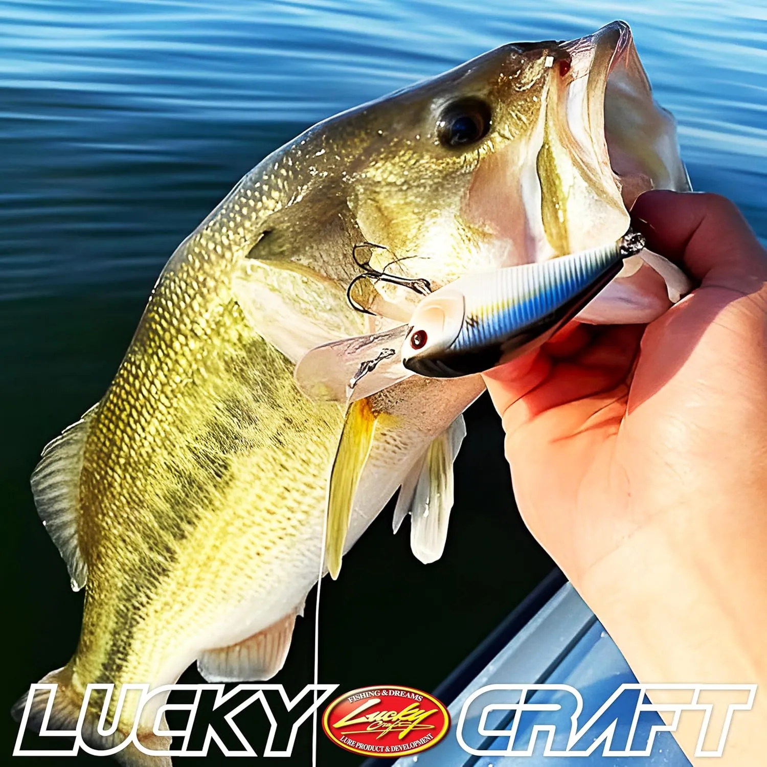 LUCKY CRAFT 1.5DD DRS, DEEP Diver, Deep Rattle Sound, Crankbait Fishing Lures, Deep Diving Lures, 7-8ft Depth, Freshwater Fishing Gear, Accessory, Tackle, Bass, Pike, Snook, Redfish