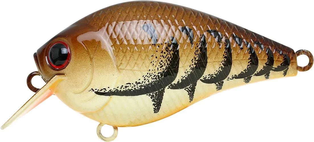 LUCKY CRAFT Fat CB BDS 1, Freshwater Bass Fishing Lure, Crank Bait, Smallmouth, Walleye, Floating, Tournament Winning, Perfect Wobbling, Squarebill, Fishing Gear, Fishing Accessories, Fishing Tackle