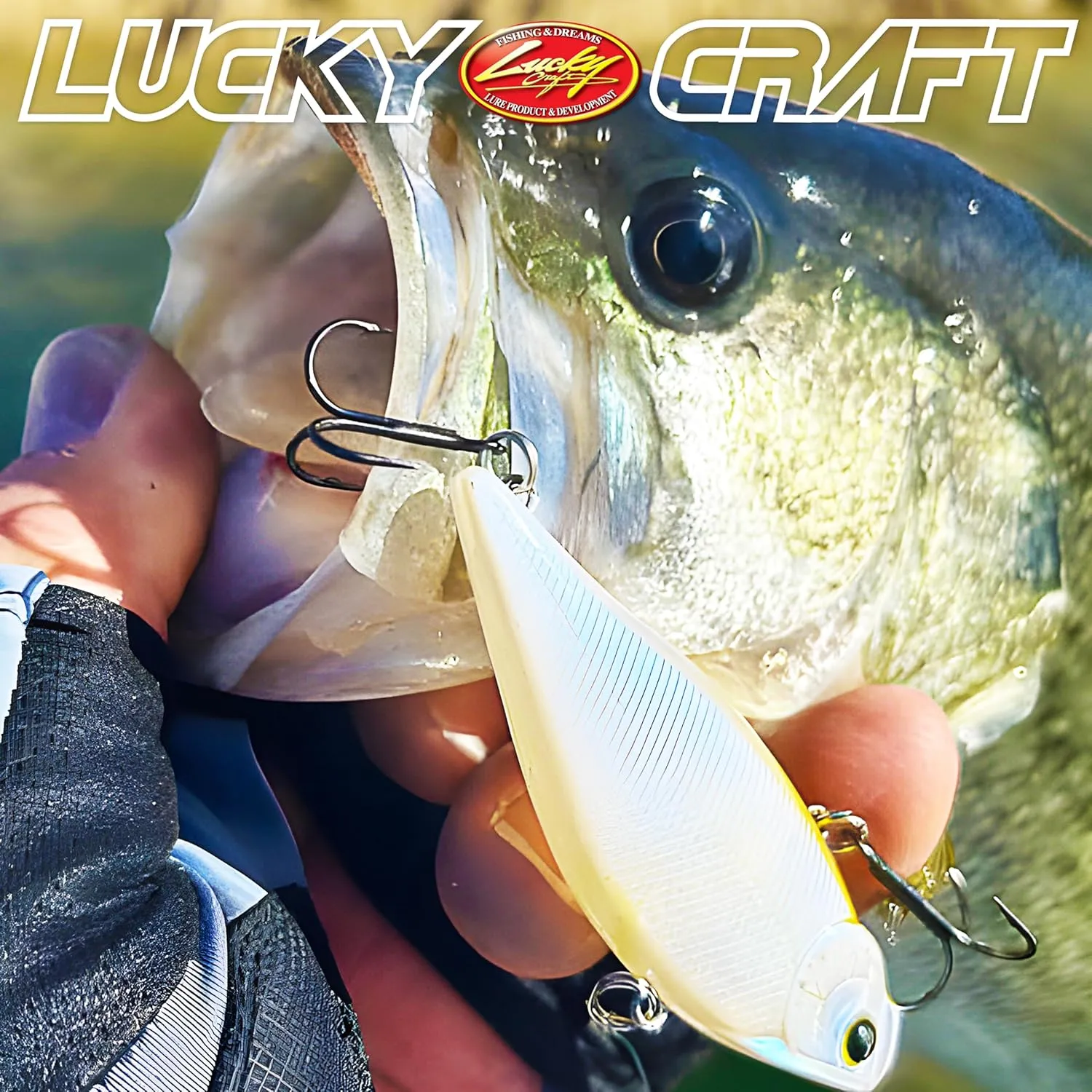LUCKY CRAFT Lucky Craft Lv 500 '