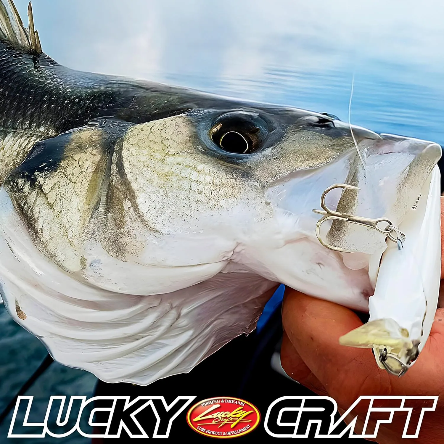 LUCKY CRAFT Pointer 100S, Saltwater Surf Fishing Lures, Jerkbait, Halibut, Surf Perch, Calico Bass, White Seabass, Striped Bass, Sinking, Fishing Gear, Fishing Accessories, Fishing Tackle