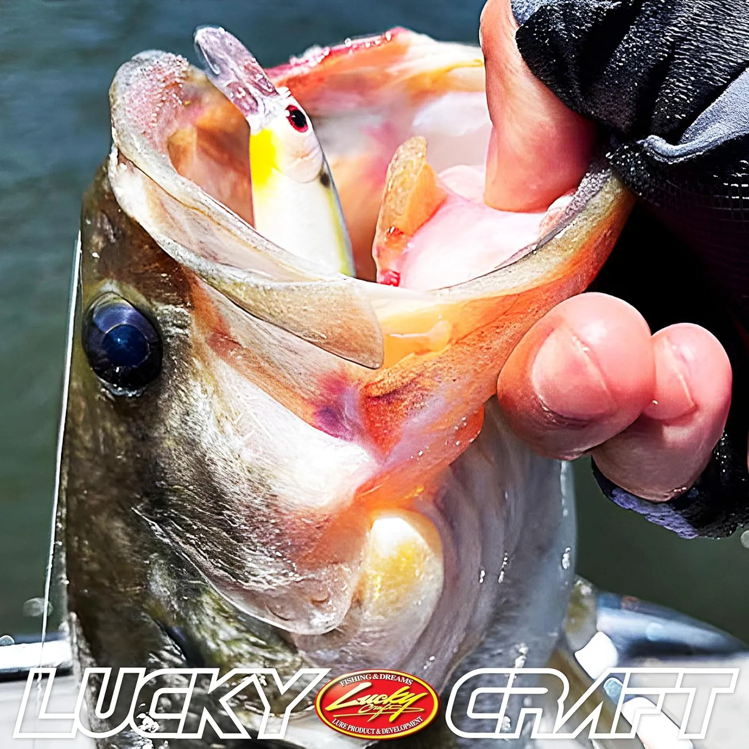 LUCKY CRAFT Pointer 78SP, Freshwater Lake Bass Fishing Lure, Jerkbait, Smallmouth, Walleye, Pike, Suspending, Tournament Winning, Perfect Wobbling, Fishing Gear, Fishing Accessories, Fishing Tackle