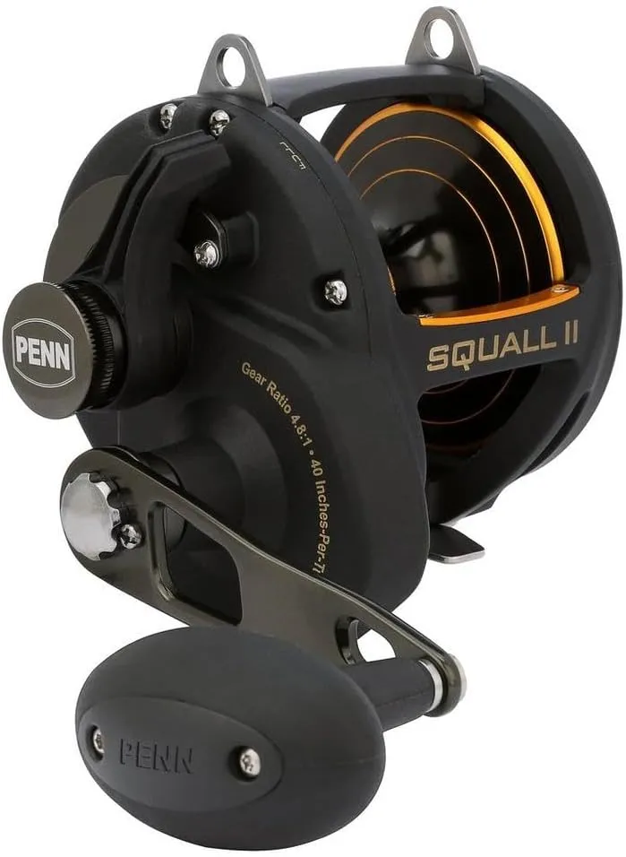 PENN Squall II Lever Drag Fishing Reel, Size 50, Graphite Body and Sideplates, Stainless Steel Main and Pinion Gears, Powerful PENN Dura-Drag