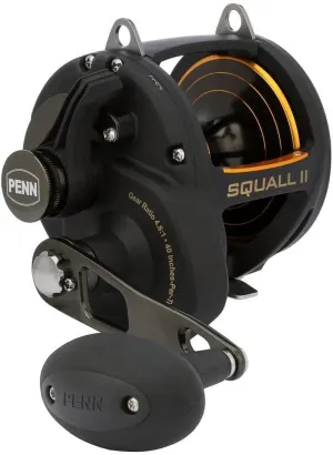 PENN Squall II Lever Drag Fishing Reel, Size 50, Graphite Body and Sideplates, Stainless Steel Main and Pinion Gears, Powerful PENN Dura-Drag