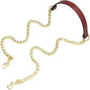 VanEnjoy 18MM Replacement Chain & Genuine Leather Shoulder Crossbody Straps for Handbags Purse Bags (Wine Red)