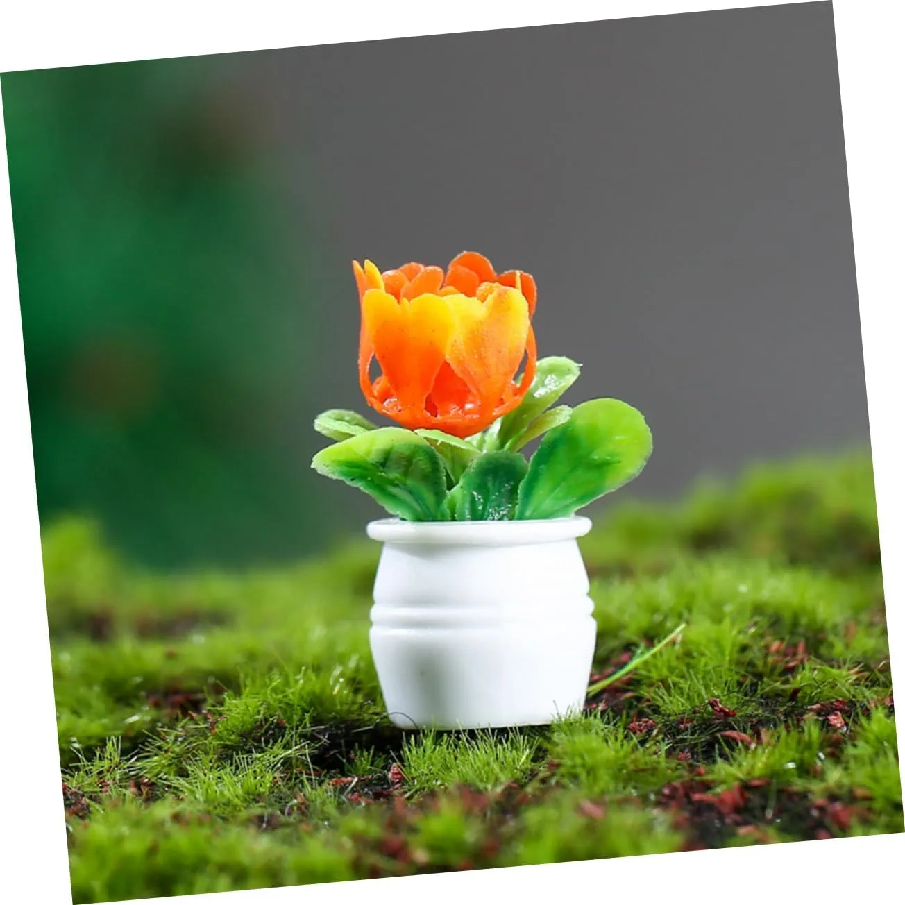 VANZACK 5sets Miniature Flowerpot Models for Dollhouse Resin Garden Decor Bonsai Ornaments Fairy Garden Miniatures Dollhouse Adornments 5pcs*5